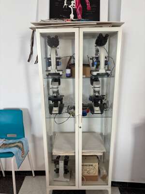 Foto Colegio Luisa De Marillac #2