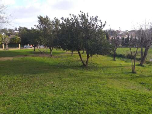 Foto Colegio San Alberto Magno #2