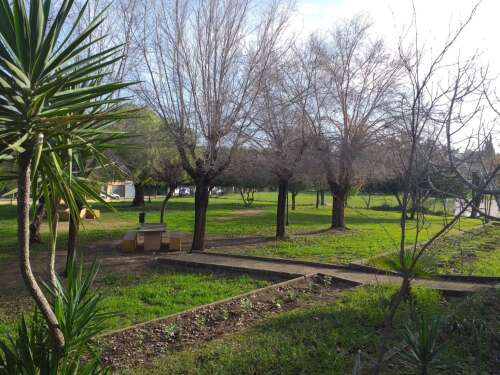 Foto Colegio San Alberto Magno #2