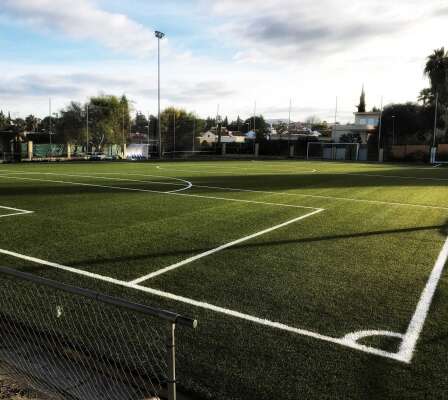 Foto Colegio San Alberto Magno #2