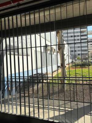 Foto Colegio Maestra Isabel Álvarez #2