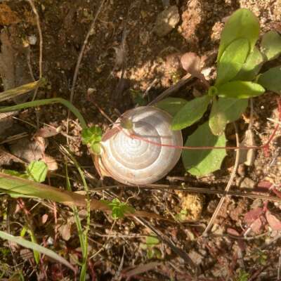 Foto Colegio Maestra Isabel Álvarez #2