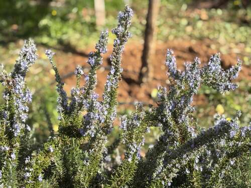 Foto Colegio Maestra Isabel Álvarez #2