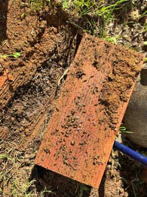 Foto Colegio Maestra Isabel Álvarez #2