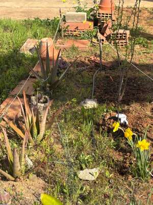 Foto Colegio Maestra Isabel Álvarez #2