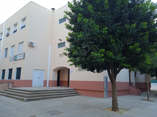 Foto Colegio Pino Flores #2