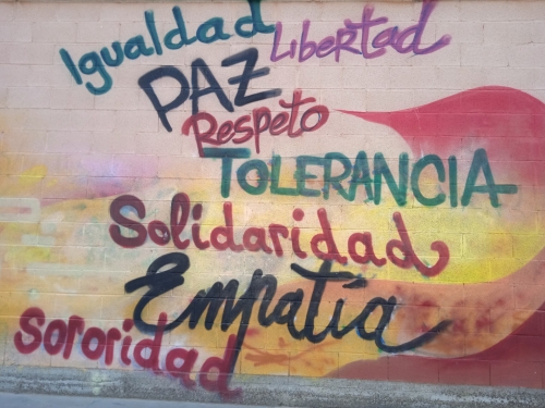 Foto Colegio Pino Flores #3