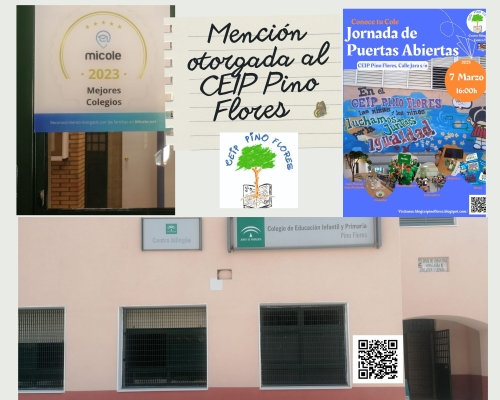 Foto Colegio Pino Flores #3