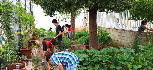 Foto Instituto Miguel De Cervantes #2