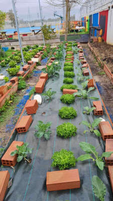 Foto CEIP La Unión #2