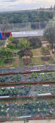 Foto CEIP La Unión #2