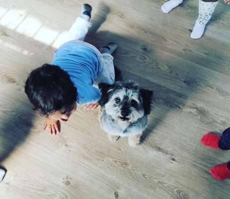 Foto Escuela Infantil La Veleta #2