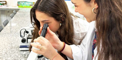 Foto Colegio CBS, The British School of Seville #2