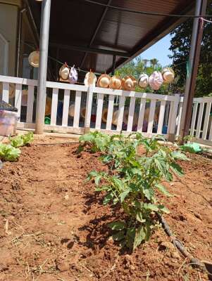 Foto Escuela Infantil Centro de Educación Infantil Estrella Polar (Tablada, Los Remedios, Sevilla) Guardería #2