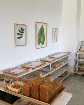 Foto Colegio Educomontessori International School #1