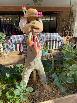 Foto Colegio Educomontessori International School #2