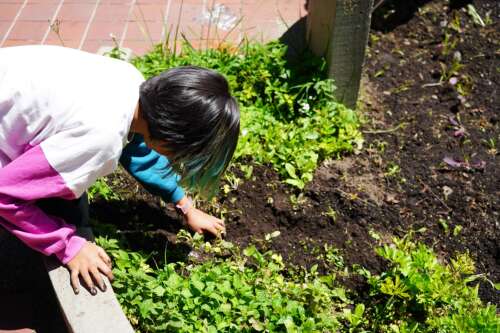Foto Colegio Juan Ramón Jiménez #3