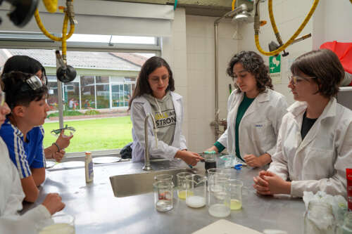 Foto Colegio Juan Ramón Jiménez #3