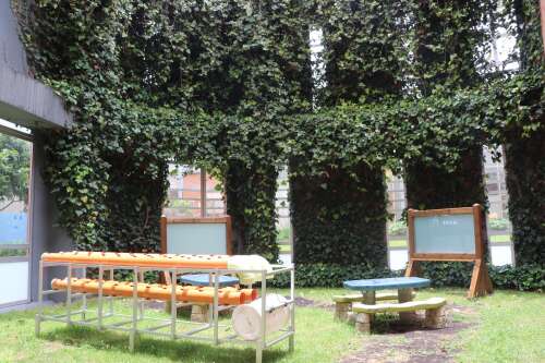 Foto Colegio Rochester #2