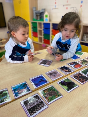 Foto Colegio El Carme #2