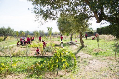 Photo Colegio Tarragona #2