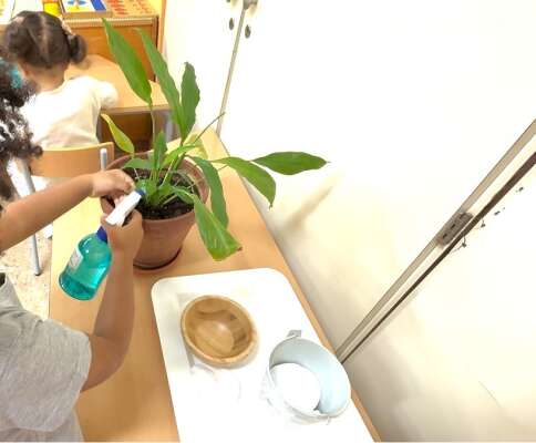 Foto Colegio Antonio Machado #2