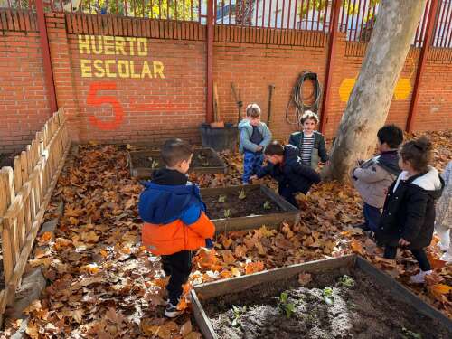Foto Colegio Antonio Machado #2