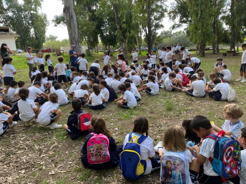 Foto Colegio Cristo Rey #2