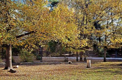 Foto Colegio Sagrado Corazón Godella #3