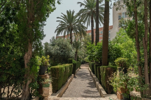 Foto Colegio Trilema El Carmen #3