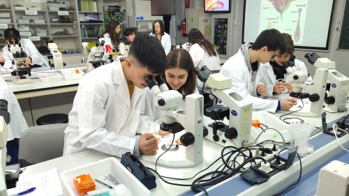 Foto Colegio Martí Sorolla Cooperativa Valenciana #2