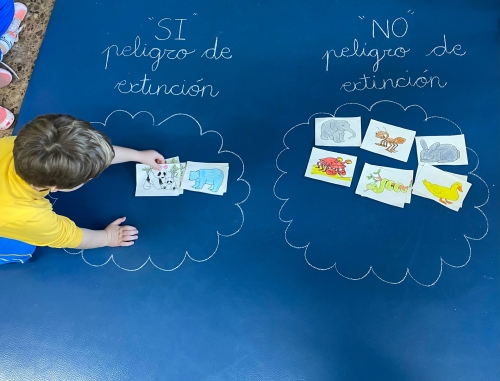 Foto Colegio Marni #2