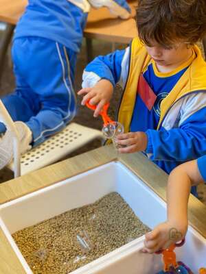 Foto Colegio Argos #2