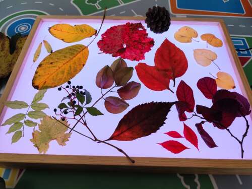 Foto Escuela Infantil Municipal La Glorieta #3