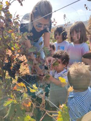 Foto Escuela Infantil Municipal La Glorieta #3