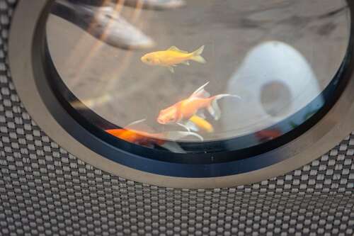 Foto Escuela Infantil Mami's & Papi's #3