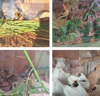 Foto Escuela Infantil Mami's & Papi's #3