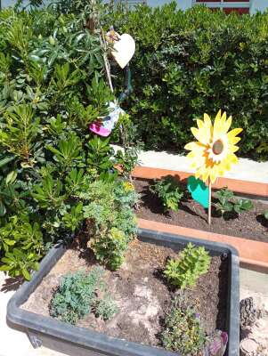 Foto Escuela Infantil Mami's & Papi's #3