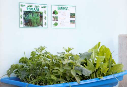 Photo Colegio CAMP DE TÚRIA- BÉTERA  #3