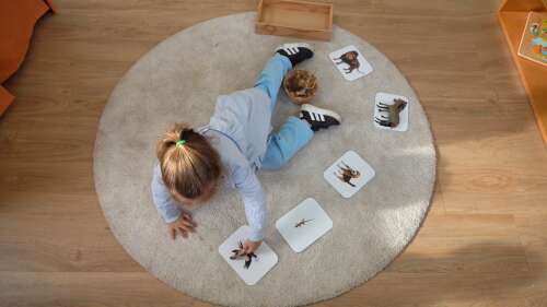 Foto Escuela Infantil Centro de Educación Infantil Menuts 2 #2