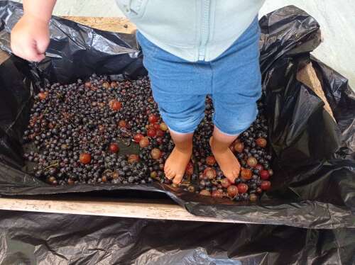 Foto Escuela Infantil Municipal Zorita #2