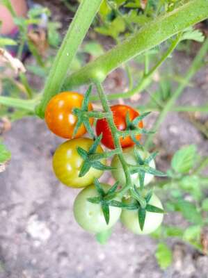 Foto Escuela Infantil Municipal Zorita #2