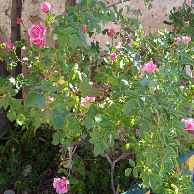 Foto Escuela Infantil Municipal Zorita #2