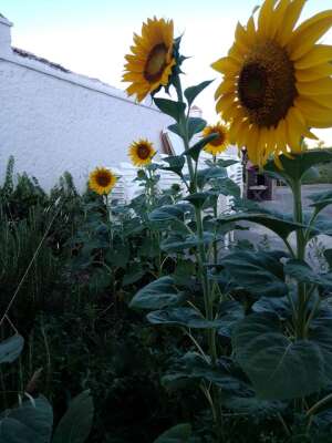 Foto Escuela Infantil Municipal Zorita #2