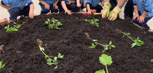 Foto Escuela Infantil Heidi #3