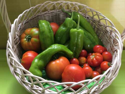 Foto Escuela Infantil Heidi #3