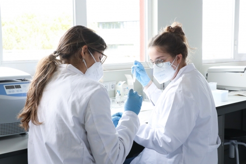 Foto Instituto Complejo Preuniversitario Mas Camarena #2