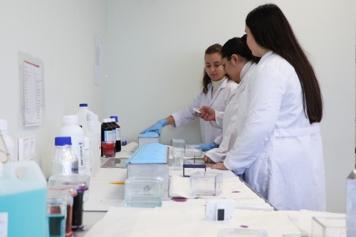 Foto Instituto Complejo Preuniversitario Mas Camarena #2