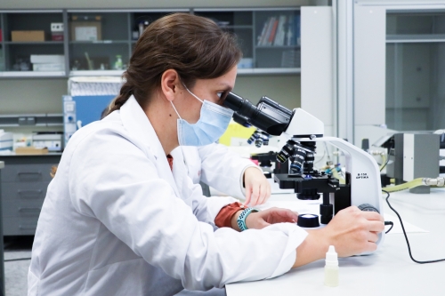 Foto Instituto Complejo Preuniversitario Mas Camarena #2