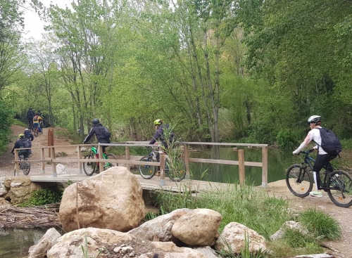 Foto Instituto Complejo Preuniversitario Mas Camarena #2